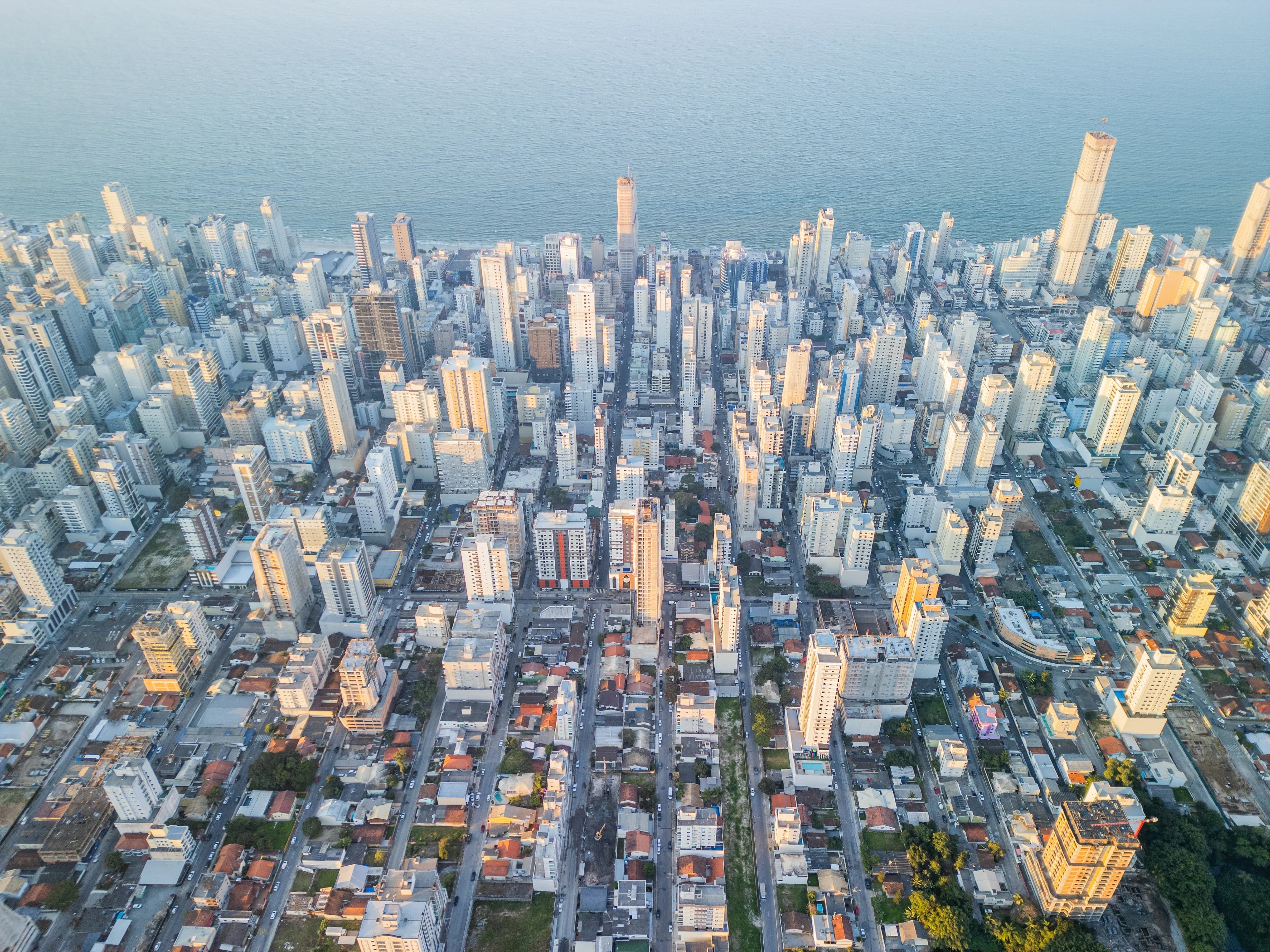 Comprar na planta: por que investidores acompanham essa estratégia há décadas?